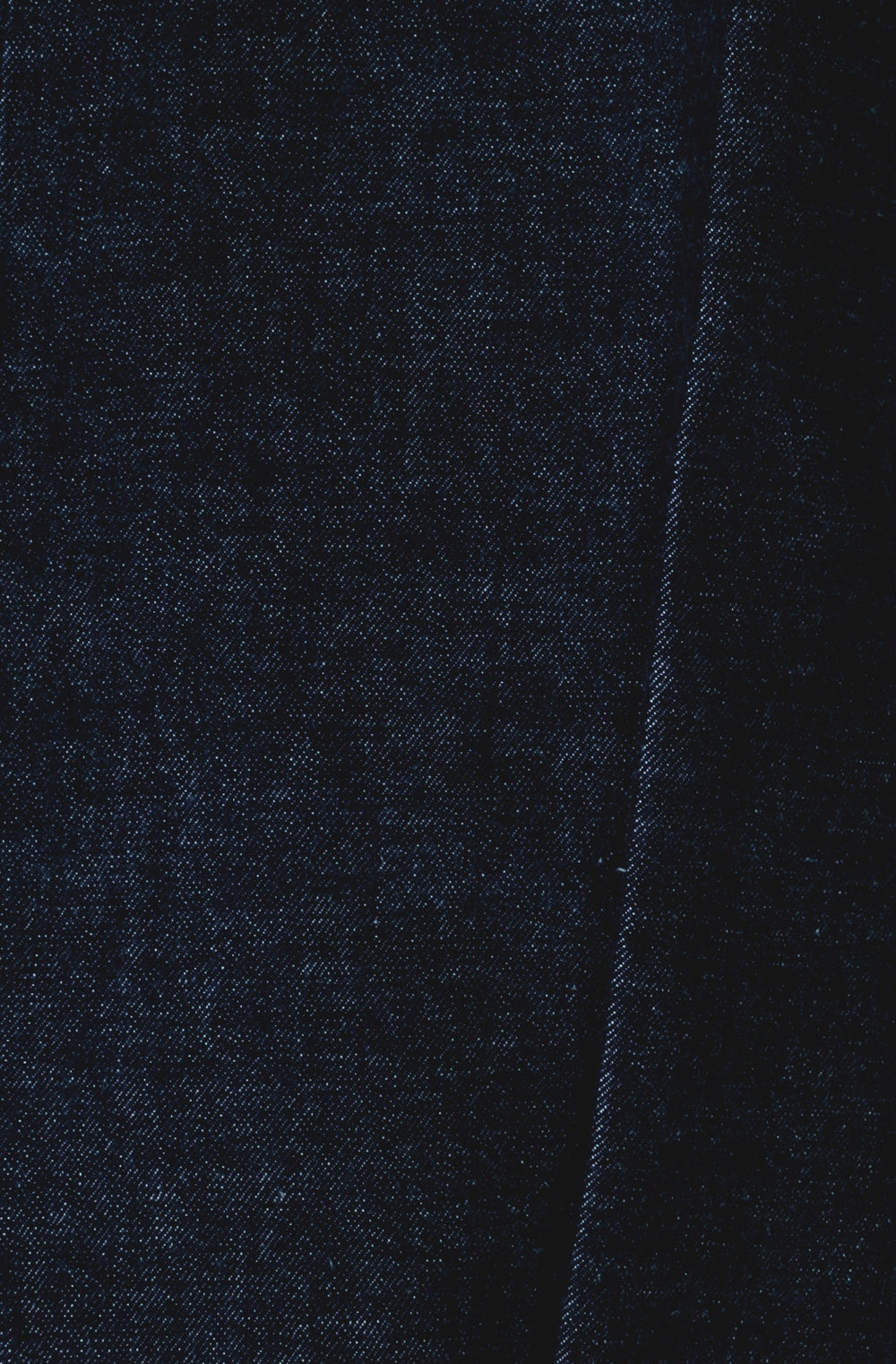 THE DAILY RAW DENIM JEANS - INDIGO